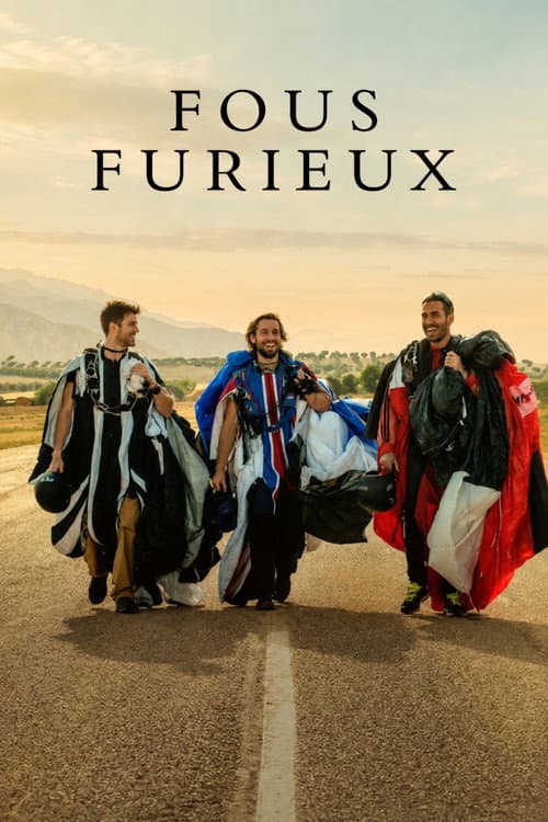 Affiche de Fous furieux