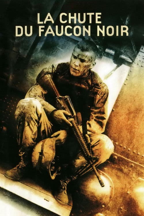 Affiche de La Chute du faucon noir