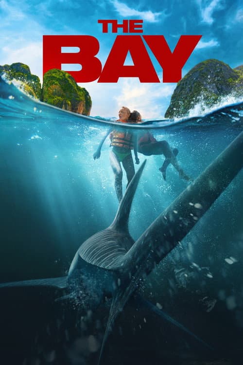 Affiche de The Bay