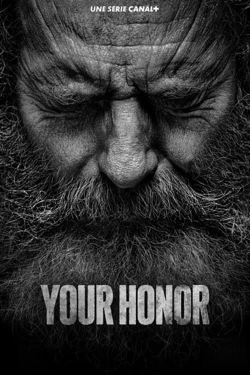 Affiche de Your Honor