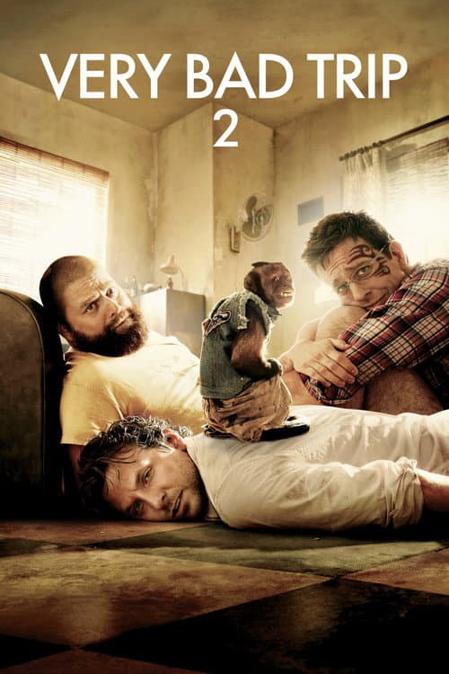 Affiche de Very Bad Trip 2