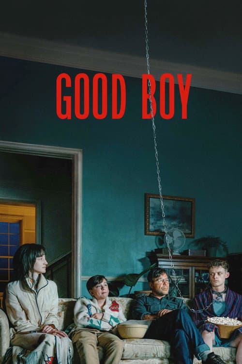 Affiche de The Good Boy