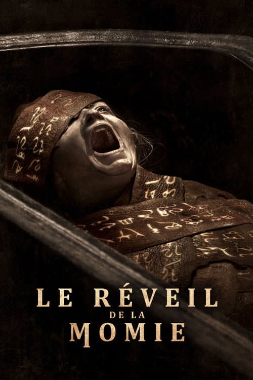 Affiche de Le Réveil de la Momie