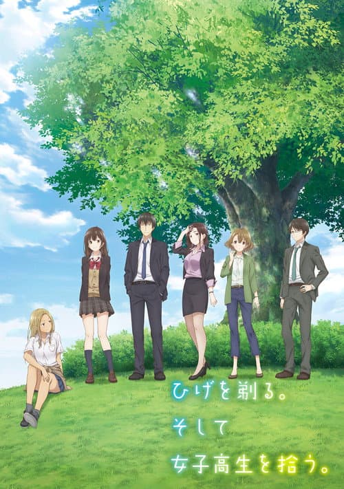 Affiche de Higehiro