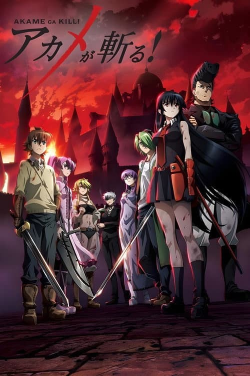 Affiche de Akame ga Kill!