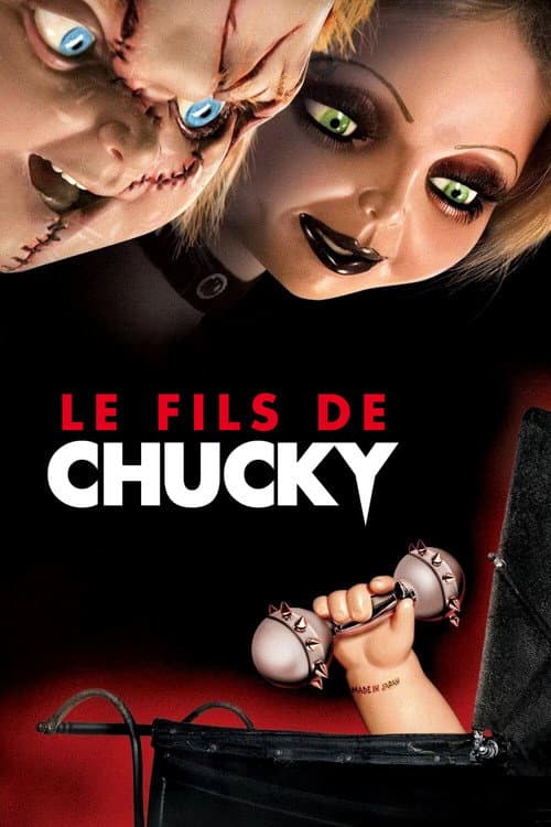 Affiche de Le Fils de Chucky