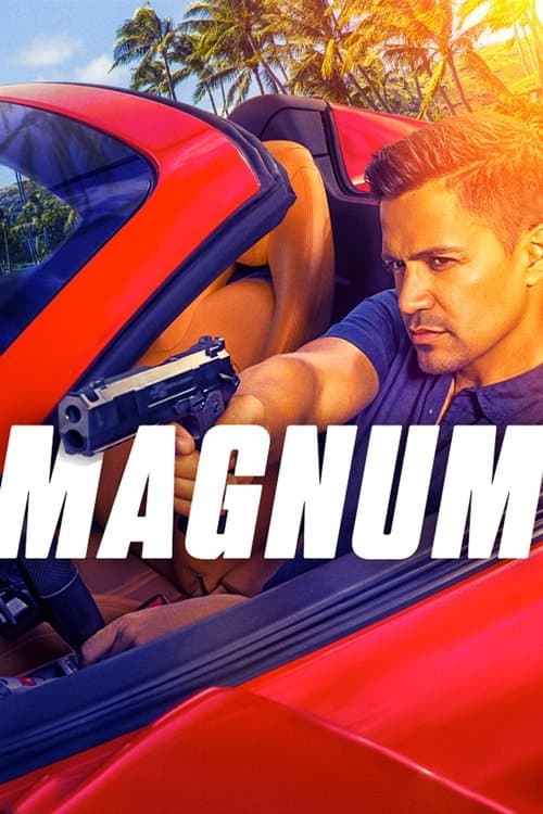 Affiche de Magnum P.I.