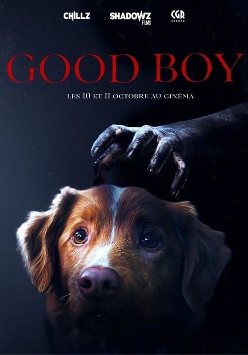 Affiche de Good Boy