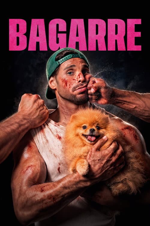 Affiche de Bagarre