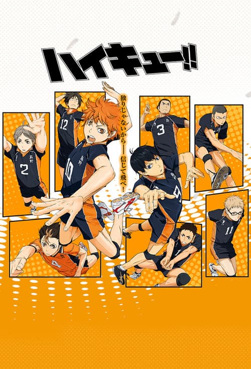 Affiche de Haikyu!!