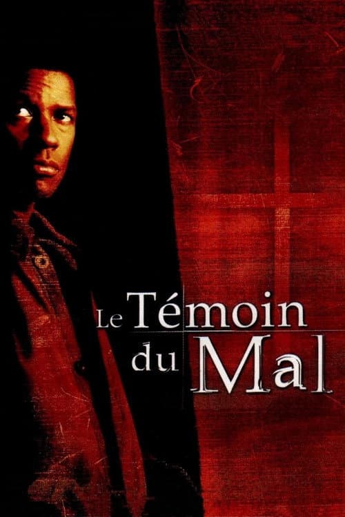 Affiche de Le Témoin du mal