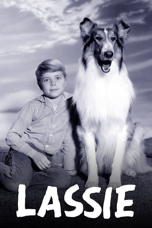 Affiche de Lassie