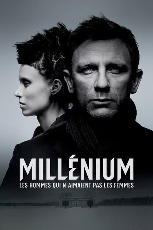 Affiche de Millénium : Les Hommes qui n'aimaient pas les femmes