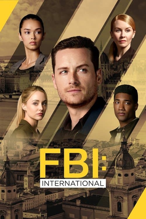 Affiche de FBI: International