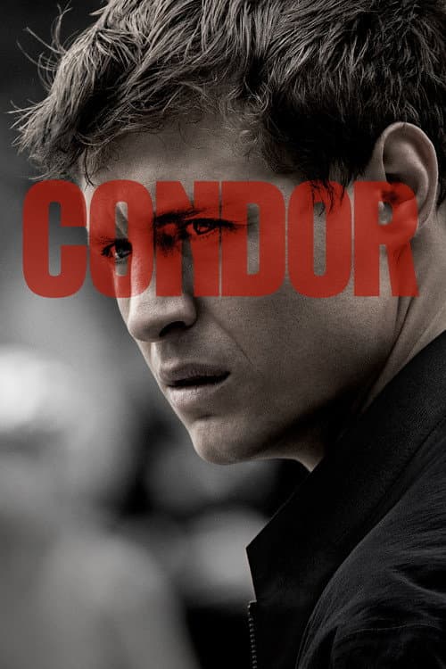 Affiche de Condor