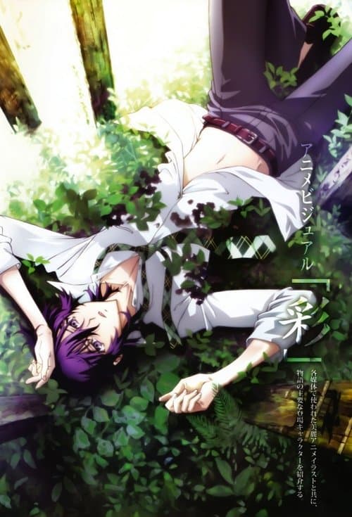 Affiche de Shiki