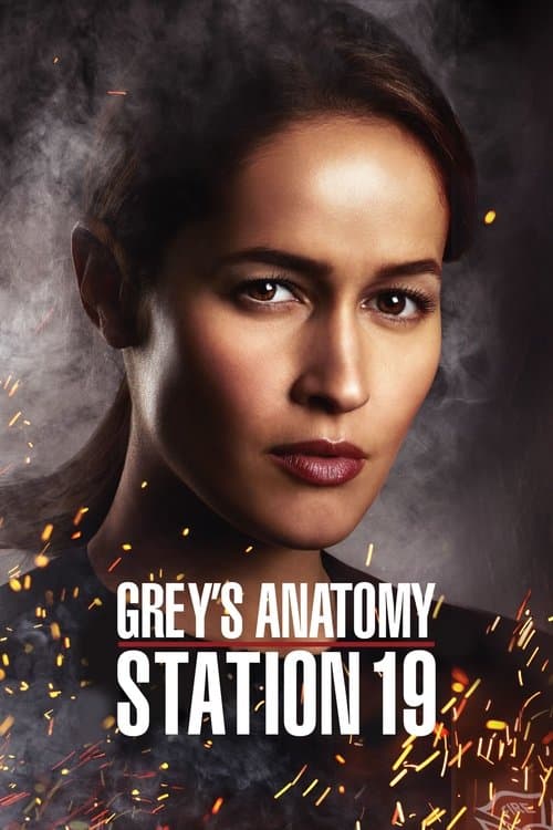 Affiche de Station 19