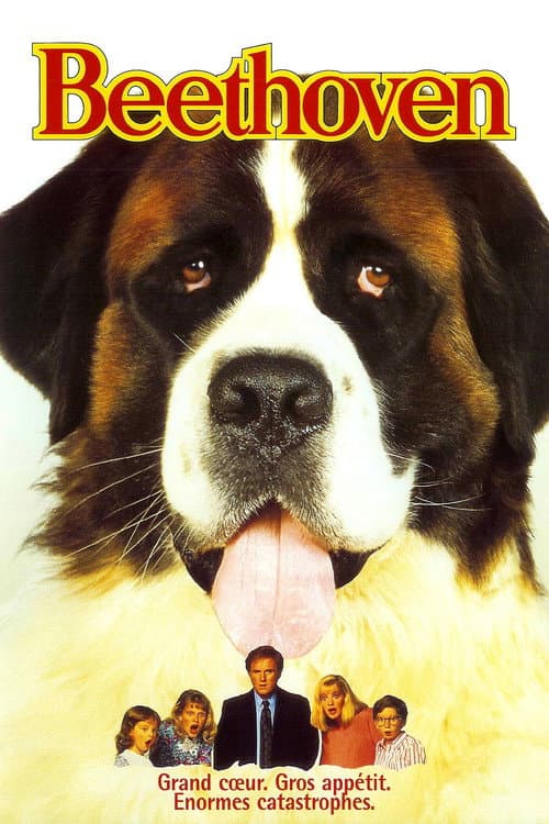 Affiche de Beethoven