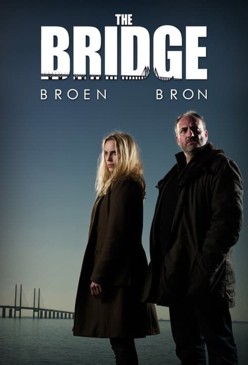 Affiche de The Bridge
