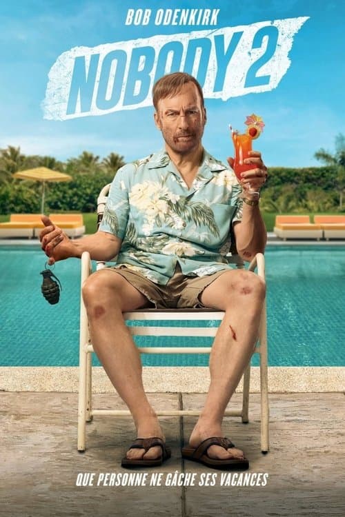 Affiche de Nobody 2