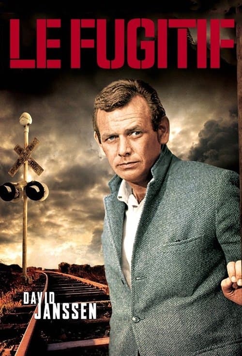 Affiche de Le Fugitif