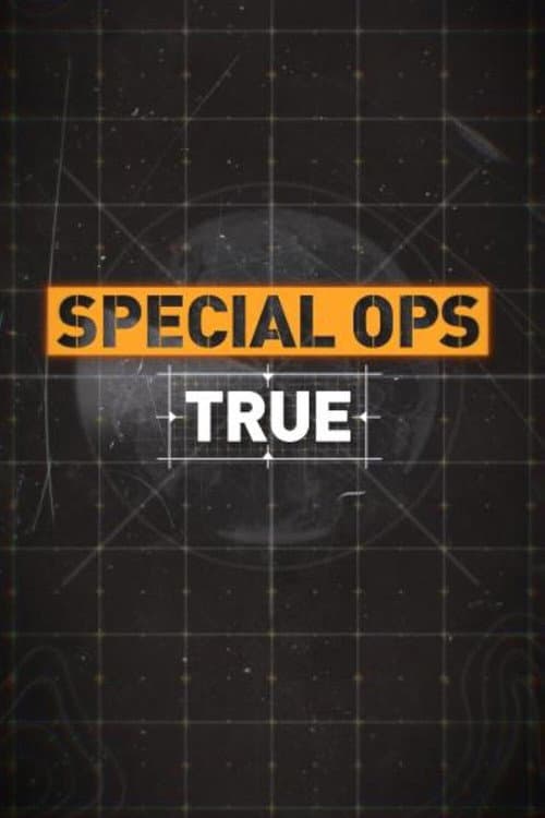 Affiche de Special Ops True