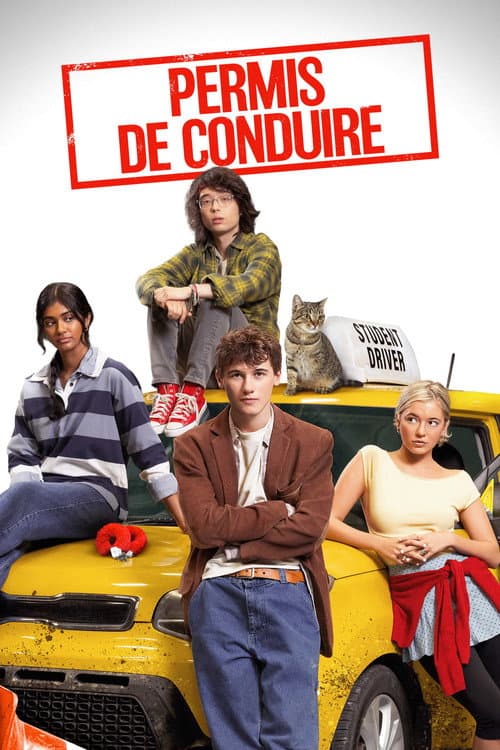 Affiche de Permis de conduire