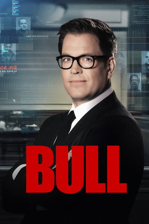 Affiche de Bull