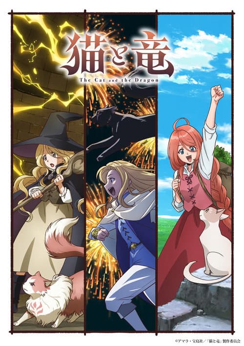 Affiche de Cats and Dragon