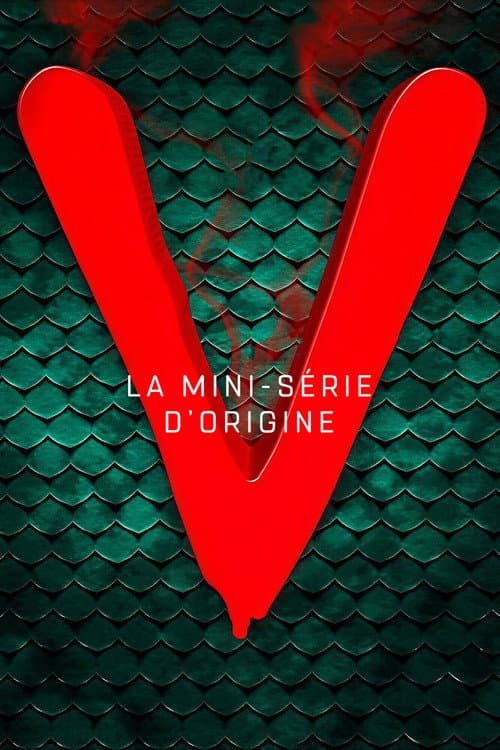 Affiche de V : Les Visiteurs